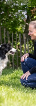 Honden en menselijke emoties: Is je hond echt heel zielig of vind j́íj́ hem vooral heel zielig?